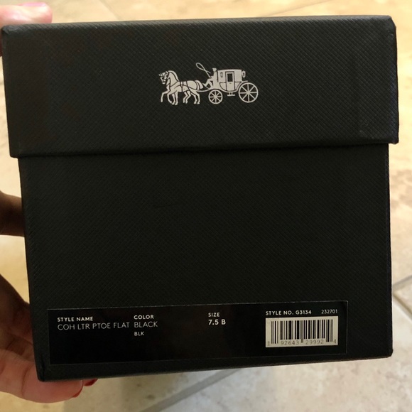 Coach | Pointy Flats - Picture 5 of 5